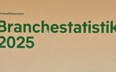 Branchestatistik 2025 er på gaden